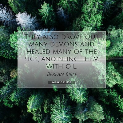 Picture 07 - Mark 6:13 BSB - They also drove out many demons and healed many - Bible Verse Picture