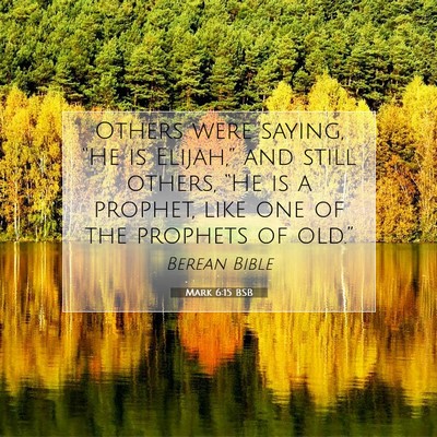 Picture 07 - Mark 6:15 BSB - Others were saying, “He is Elijah,” and still - Bible Verse Picture