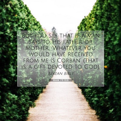 Picture 07 - Mark 7:11 BSB - But you say that if a man says to his father or - Bible Verse Picture