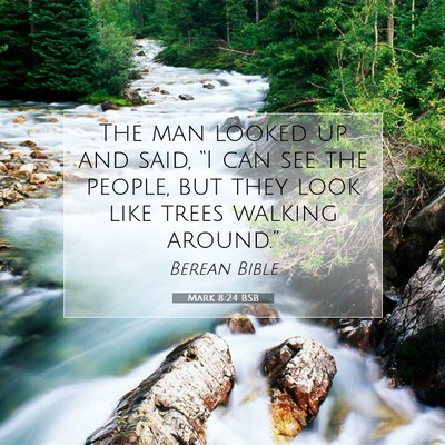 Picture 07 - Mark 8:24 BSB - The man looked up and said, “I can see the - Bible Verse Picture