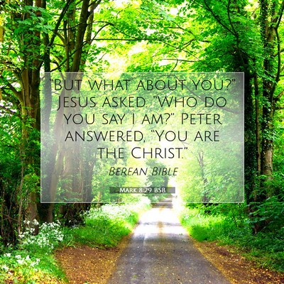 Picture 07 - Mark 8:29 BSB - “But what about you?” Jesus asked. “Who do - Bible Verse Picture