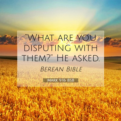 Picture 07 - Mark 9:16 BSB - “What are you disputing with them?” He - Bible Verse Picture
