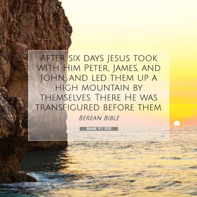 Picture 07 - Mark 9:2 BSB - After six days Jesus took with Him Peter, James, - Bible Verse Picture