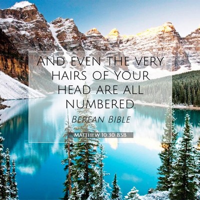 Picture 07 - Matthew 10:30 BSB - And even the very hairs of your head are all - Bible Verse Picture
