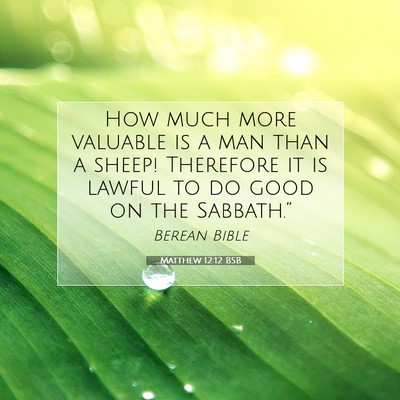 Picture 07 - Matthew 12:12 BSB - How much more valuable is a man than a sheep! - Bible Verse Picture