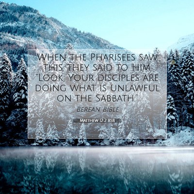 Picture 07 - Matthew 12:2 BSB - When the Pharisees saw this, they said to Him, - Bible Verse Picture