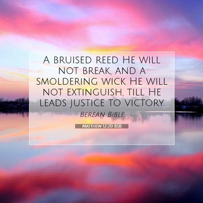 Picture 07 - Matthew 12:20 BSB - A bruised reed He will not break, and a - Bible Verse Picture