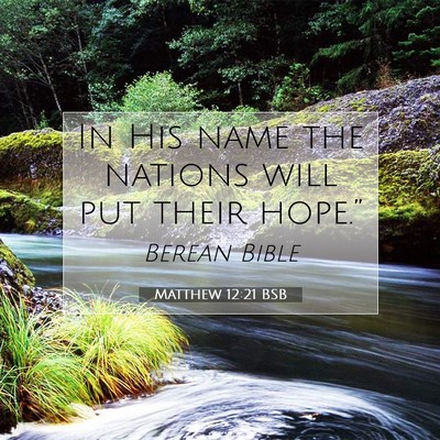 Picture 07 - Matthew 12:21 BSB - In His name the nations will put their - Bible Verse Picture