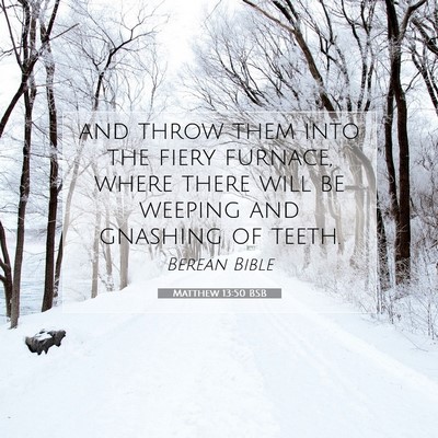 Picture 07 - Matthew 13:50 BSB - and throw them into the fiery furnace, where - Bible Verse Picture