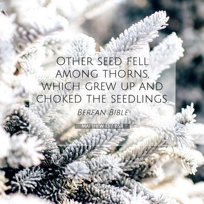 Picture 07 - Matthew 13:7 BSB - Other seed fell among thorns, which grew up and - Bible Verse Picture