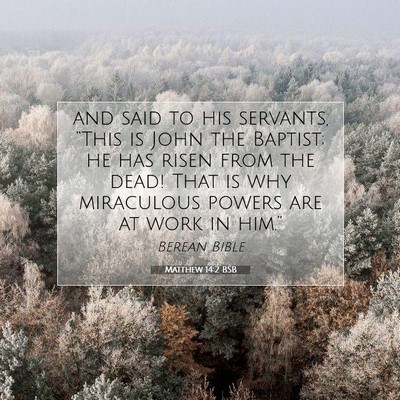 Picture 07 - Matthew 14:2 BSB - and said to his servants, “This is John the - Bible Verse Picture