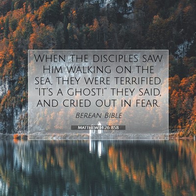 Picture 07 - Matthew 14:26 BSB - When the disciples saw Him walking on the sea, - Bible Verse Picture