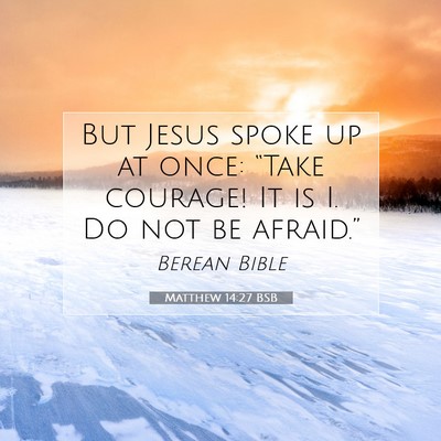 Picture 07 - Matthew 14:27 BSB - But Jesus spoke up at once: “Take courage! It - Bible Verse Picture