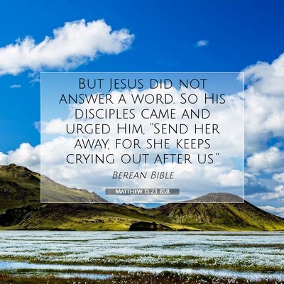 Picture 07 - Matthew 15:23 BSB - But Jesus did not answer a word. So His disciples - Bible Verse Picture