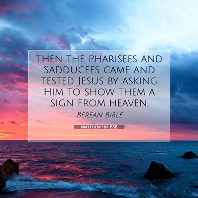 Picture 07 - Matthew 16:1 BSB - Then the Pharisees and Sadducees came and tested - Bible Verse Picture