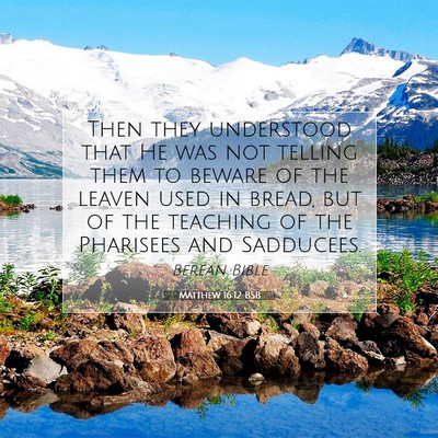 Picture 07 - Matthew 16:12 BSB - Then they understood that He was not telling them - Bible Verse Picture