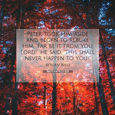 Picture 07 - Matthew 16:22 BSB - Peter took Him aside and began to rebuke Him. - Bible Verse Picture