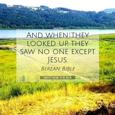 Picture 07 - Matthew 17:8 BSB - And when they looked up, they saw no one except - Bible Verse Picture