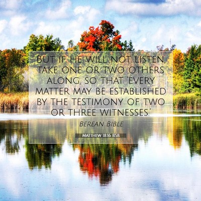 Picture 07 - Matthew 18:16 BSB - But if he will not listen, take one or two others - Bible Verse Picture