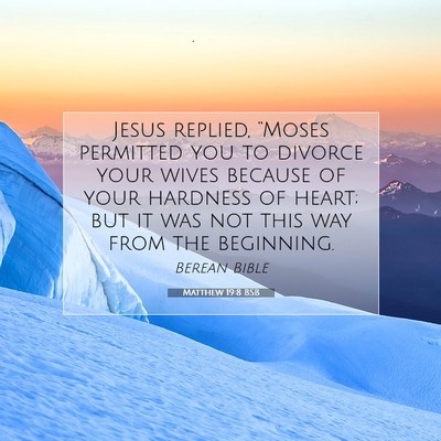 Picture 07 - Matthew 19:8 BSB - Jesus replied, “Moses permitted you to divorce - Bible Verse Picture