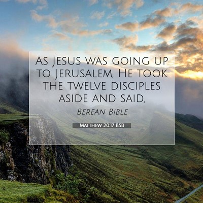 Picture 07 - Matthew 20:17 BSB - As Jesus was going up to Jerusalem, He took the - Bible Verse Picture