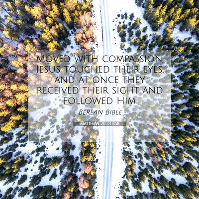 Picture 07 - Matthew 20:34 BSB - Moved with compassion, Jesus touched their eyes, - Bible Verse Picture