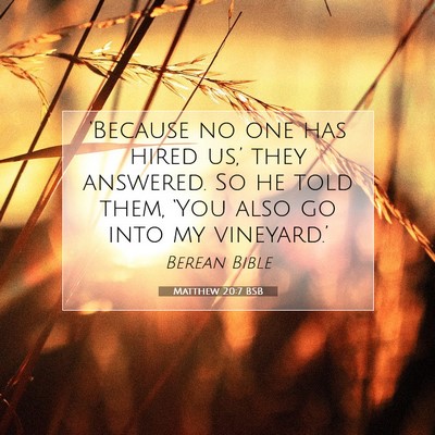Picture 07 - Matthew 20:7 BSB - ‘Because no one has hired us,’ they answered. - Bible Verse Picture