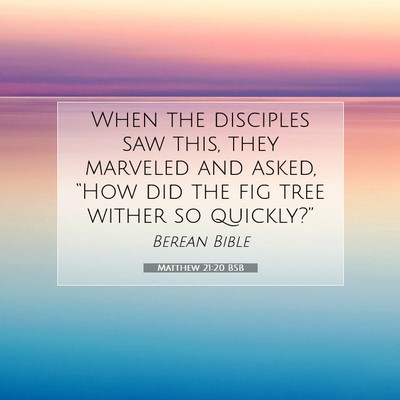 Picture 07 - Matthew 21:20 BSB - When the disciples saw this, they marveled and - Bible Verse Picture