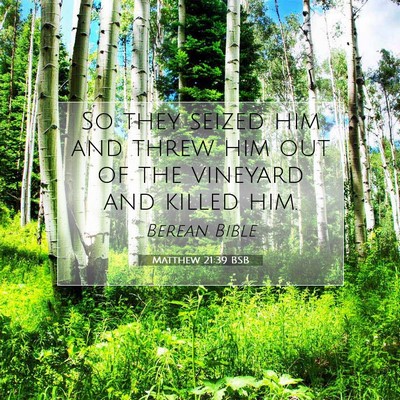 Picture 07 - Matthew 21:39 BSB - So they seized him and threw him out of the - Bible Verse Picture