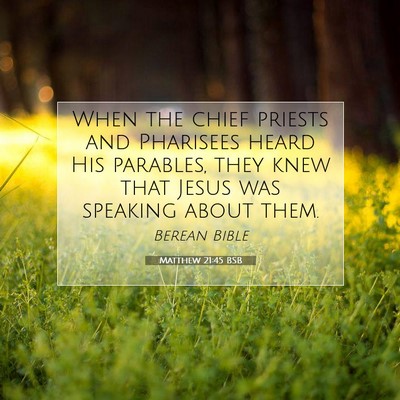 Picture 07 - Matthew 21:45 BSB - When the chief priests and Pharisees heard His - Bible Verse Picture