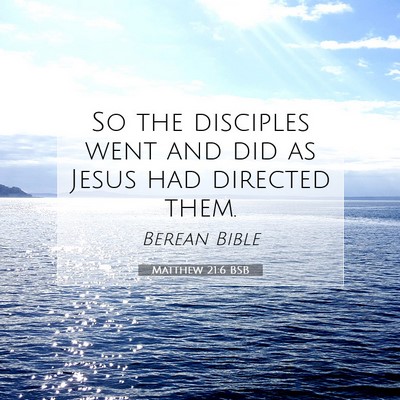 Picture 07 - Matthew 21:6 BSB - So the disciples went and did as Jesus had - Bible Verse Picture