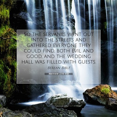 Picture 07 - Matthew 22:10 BSB - So the servants went out into the streets and - Bible Verse Picture