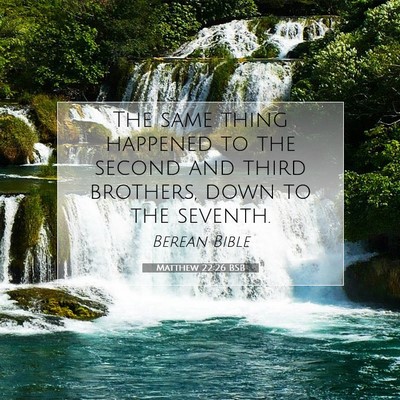 Picture 07 - Matthew 22:26 BSB - The same thing happened to the second and third - Bible Verse Picture