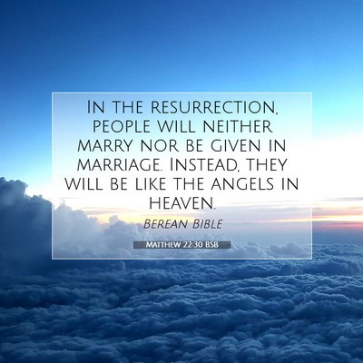 Picture 07 - Matthew 22:30 BSB - In the resurrection, people will neither marry - Bible Verse Picture