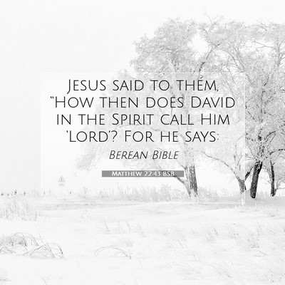 Picture 07 - Matthew 22:43 BSB - Jesus said to them, “How then does David in the - Bible Verse Picture