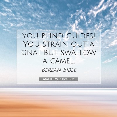 Picture 07 - Matthew 23:24 BSB - You blind guides! You strain out a gnat but - Bible Verse Picture