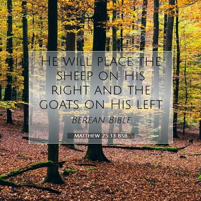 Picture 07 - Matthew 25:33 BSB - He will place the sheep on His right and the - Bible Verse Picture