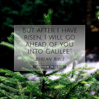 Picture 07 - Matthew 26:32 BSB - But after I have risen, I will go ahead of you - Bible Verse Picture