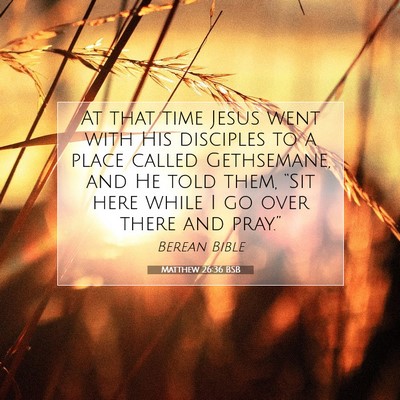 Picture 07 - Matthew 26:36 BSB - At that time Jesus went with His disciples to a - Bible Verse Picture