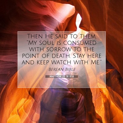 Picture 07 - Matthew 26:38 BSB - Then He said to them, “My soul is consumed with - Bible Verse Picture