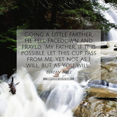 Picture 07 - Matthew 26:39 BSB - Going a little farther, He fell facedown and - Bible Verse Picture