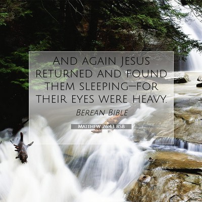Picture 07 - Matthew 26:43 BSB - And again Jesus returned and found them - Bible Verse Picture