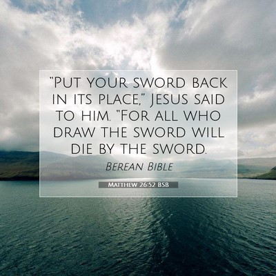 Picture 07 - Matthew 26:52 BSB - “Put your sword back in its place,” Jesus - Bible Verse Picture