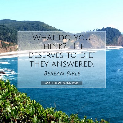 Picture 07 - Matthew 26:66 BSB - What do you think?” “He deserves to die,” - Bible Verse Picture