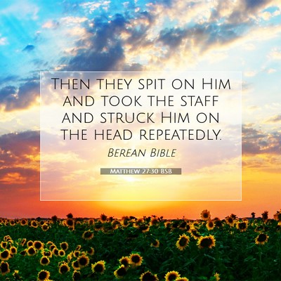 Picture 07 - Matthew 27:30 BSB - Then they spit on Him and took the staff and - Bible Verse Picture