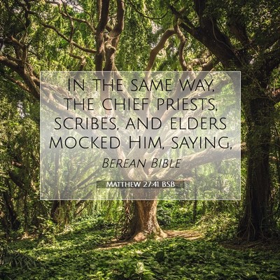 Picture 07 - Matthew 27:41 BSB - In the same way, the chief priests, scribes, and - Bible Verse Picture