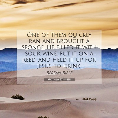 Picture 07 - Matthew 27:48 BSB - One of them quickly ran and brought a sponge. He - Bible Verse Picture