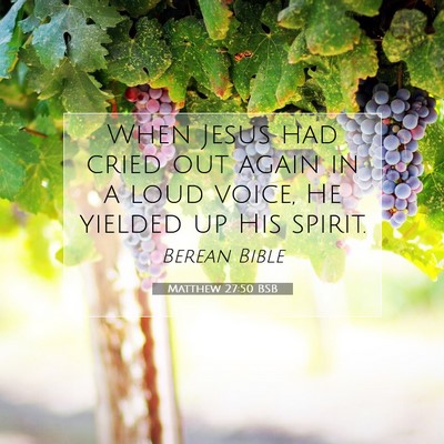 Picture 07 - Matthew 27:50 BSB - When Jesus had cried out again in a loud voice, - Bible Verse Picture
