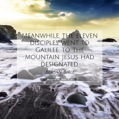 Picture 07 - Matthew 28:16 BSB - Meanwhile, the eleven disciples went to Galilee, - Bible Verse Picture