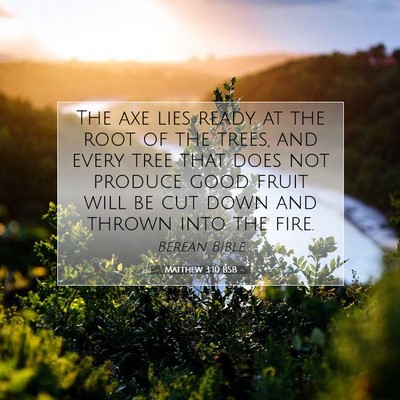 Picture 07 - Matthew 3:10 BSB - The axe lies ready at the root of the trees, and - Bible Verse Picture